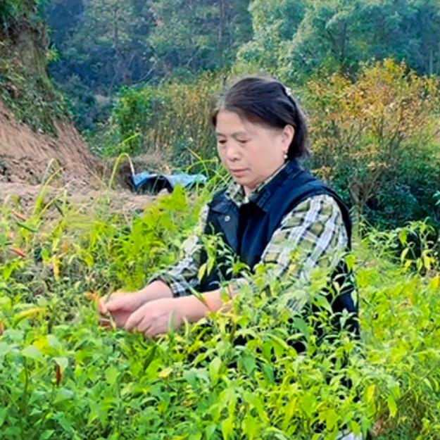谈三姑的小吃摊