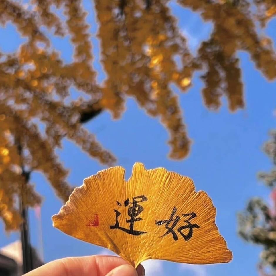 钢琴源头发工厂