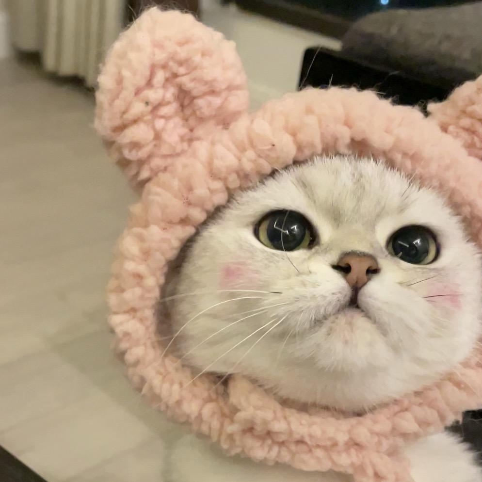 糊糊