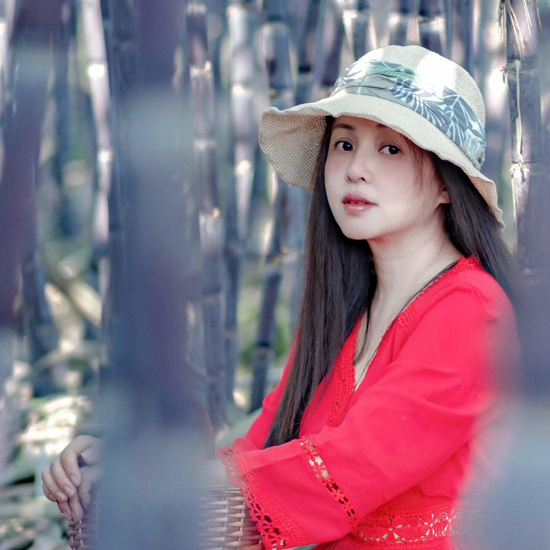 感恩的心