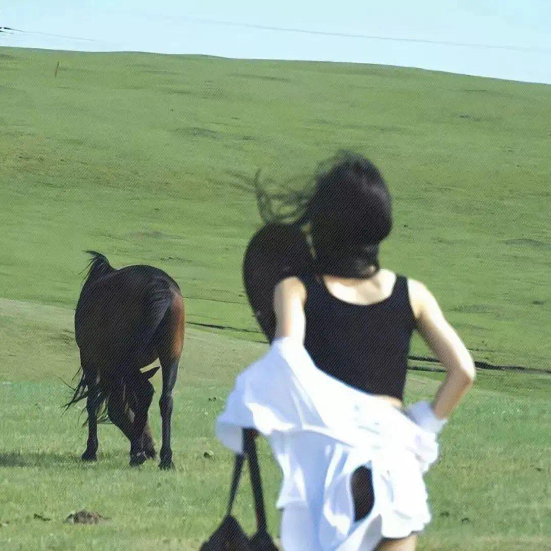 冲冲冲一夏