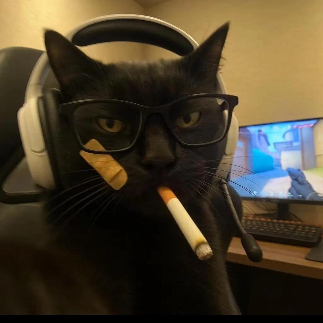 两级反转（游戏中）