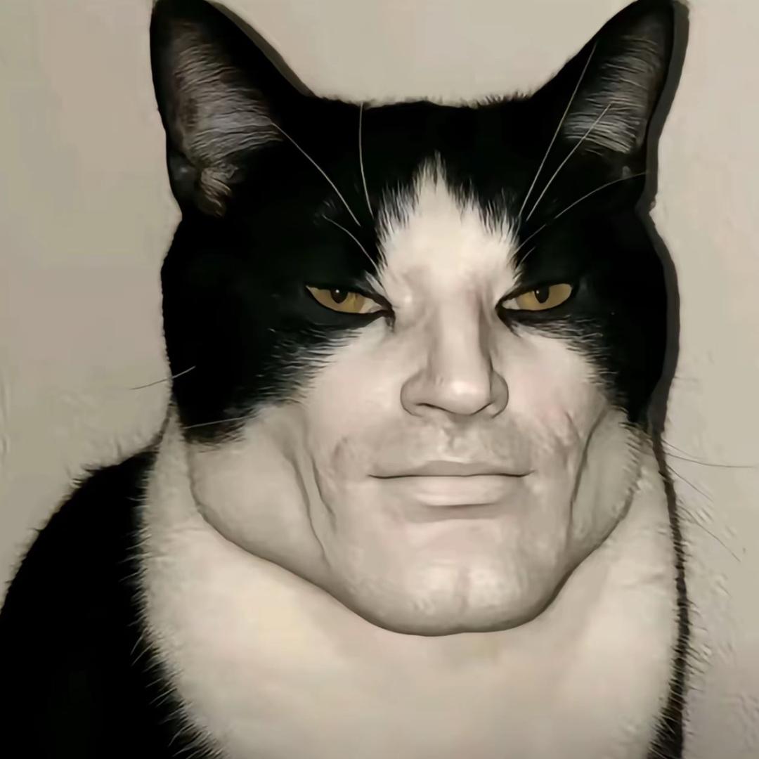 悲伤的猪
