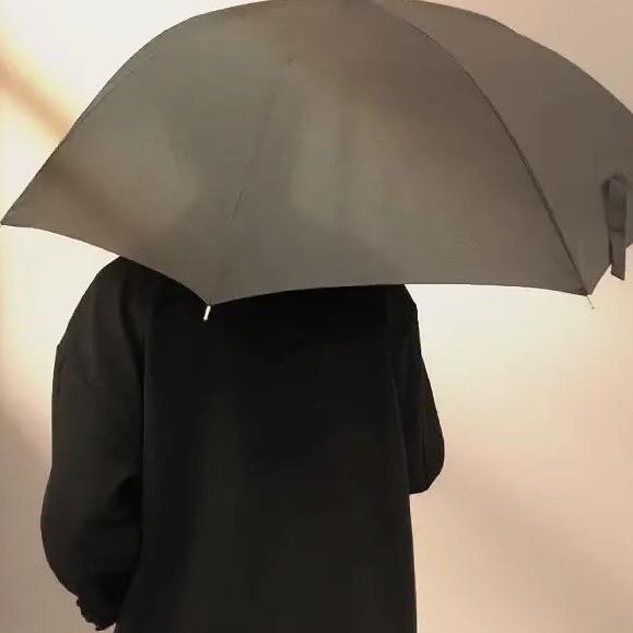 宋某人