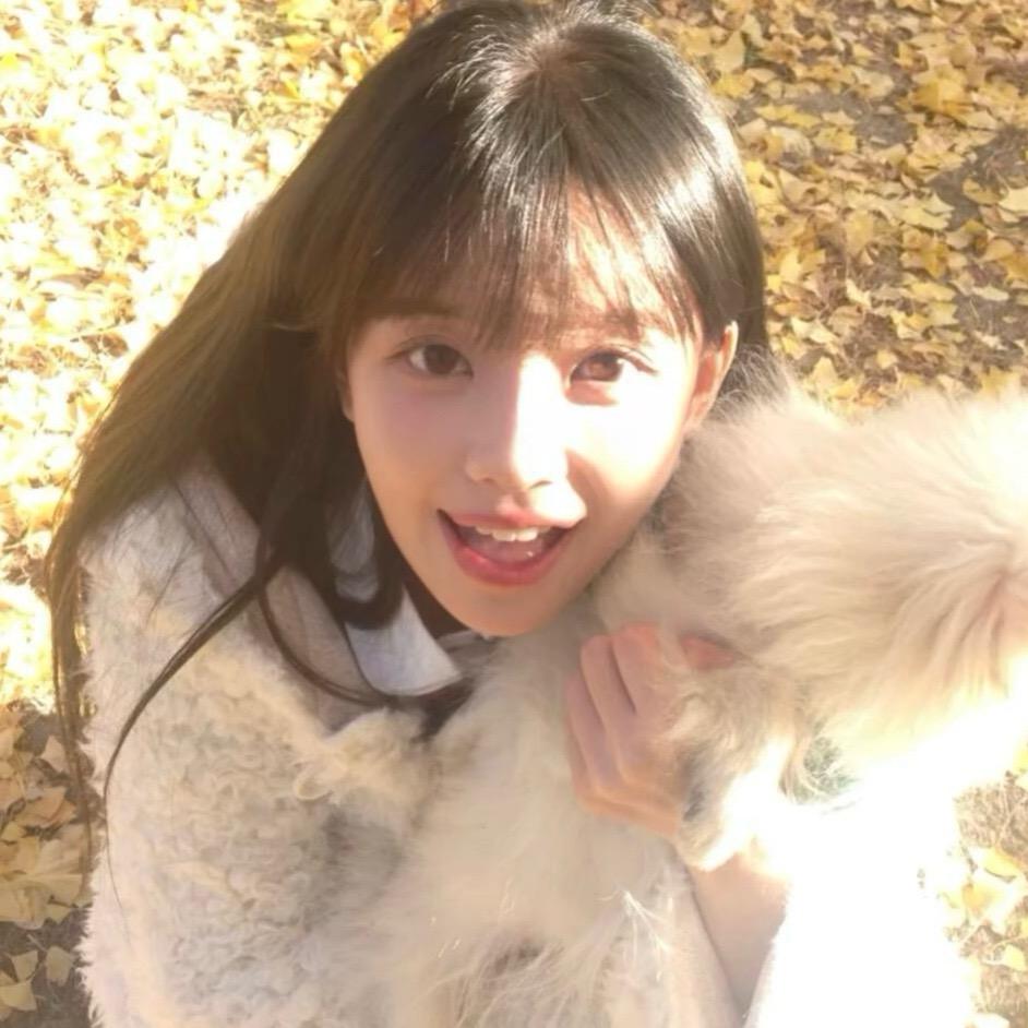 小黄不会倒下（黄佩艳）