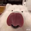 向日葵