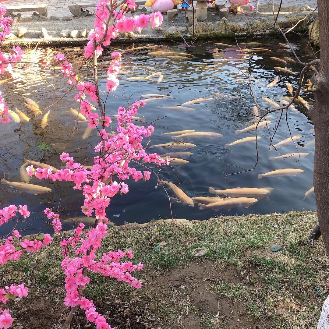 嘴甜心狠办事稳