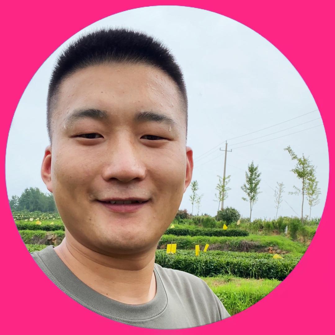 大路茶叶