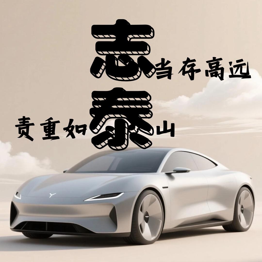 山东新能源二手车（志泰郎哥）