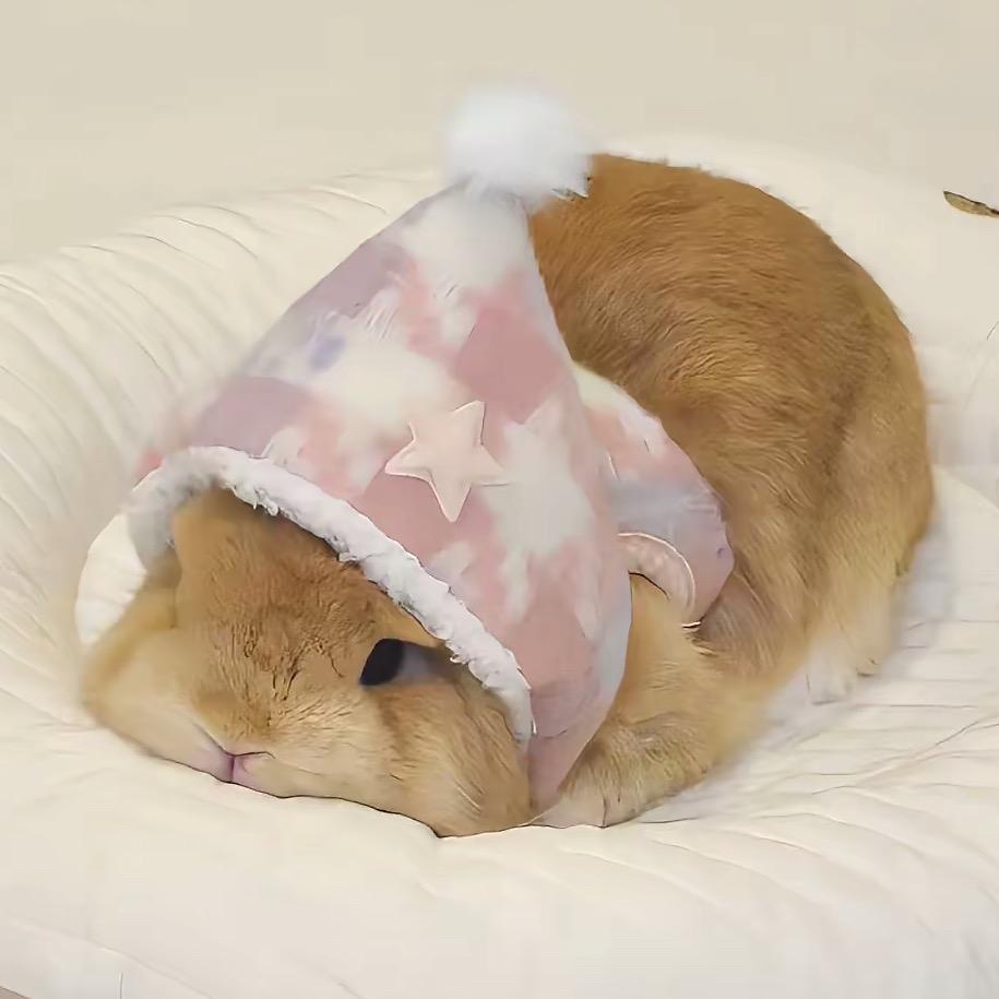 干掉小兔