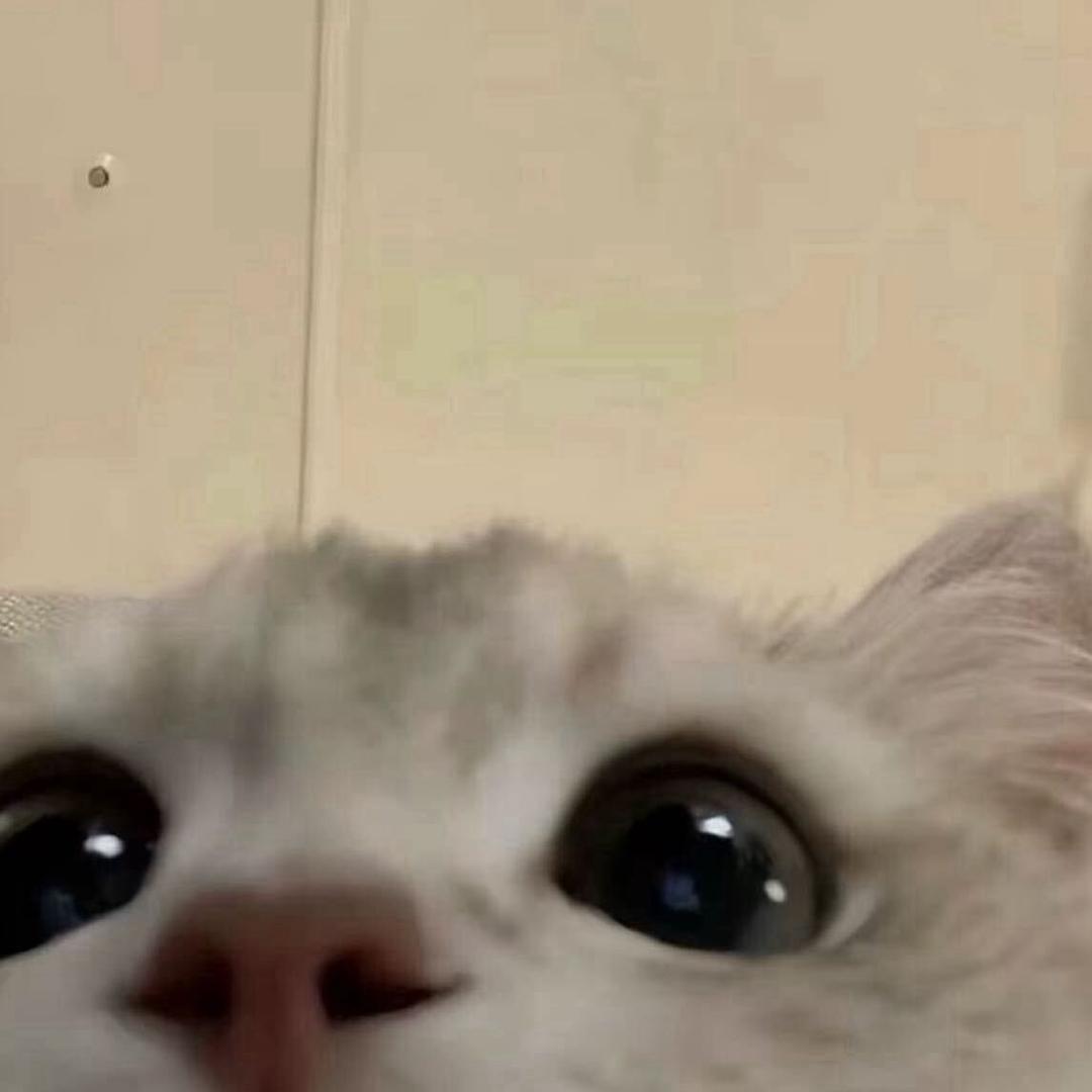 菡