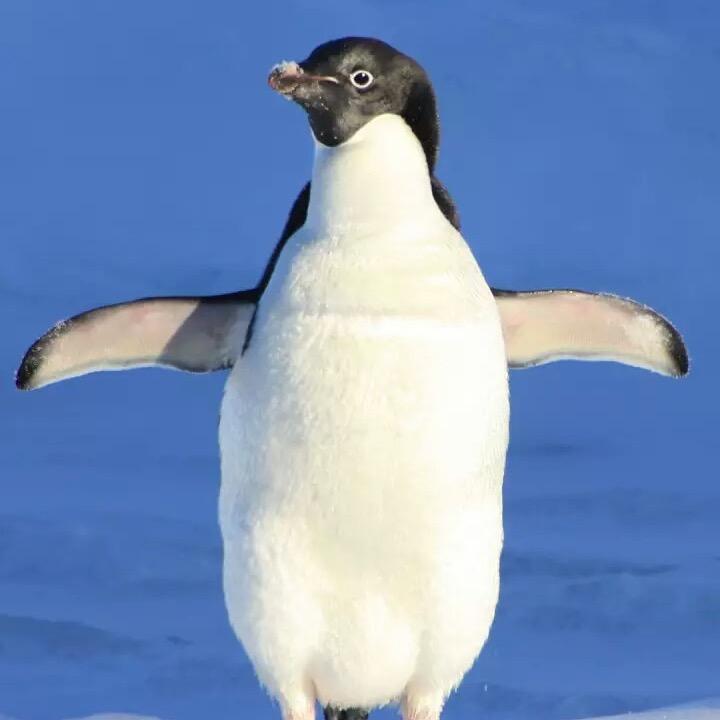 杰