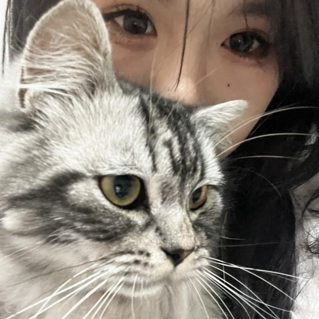 🫸不要吃胖