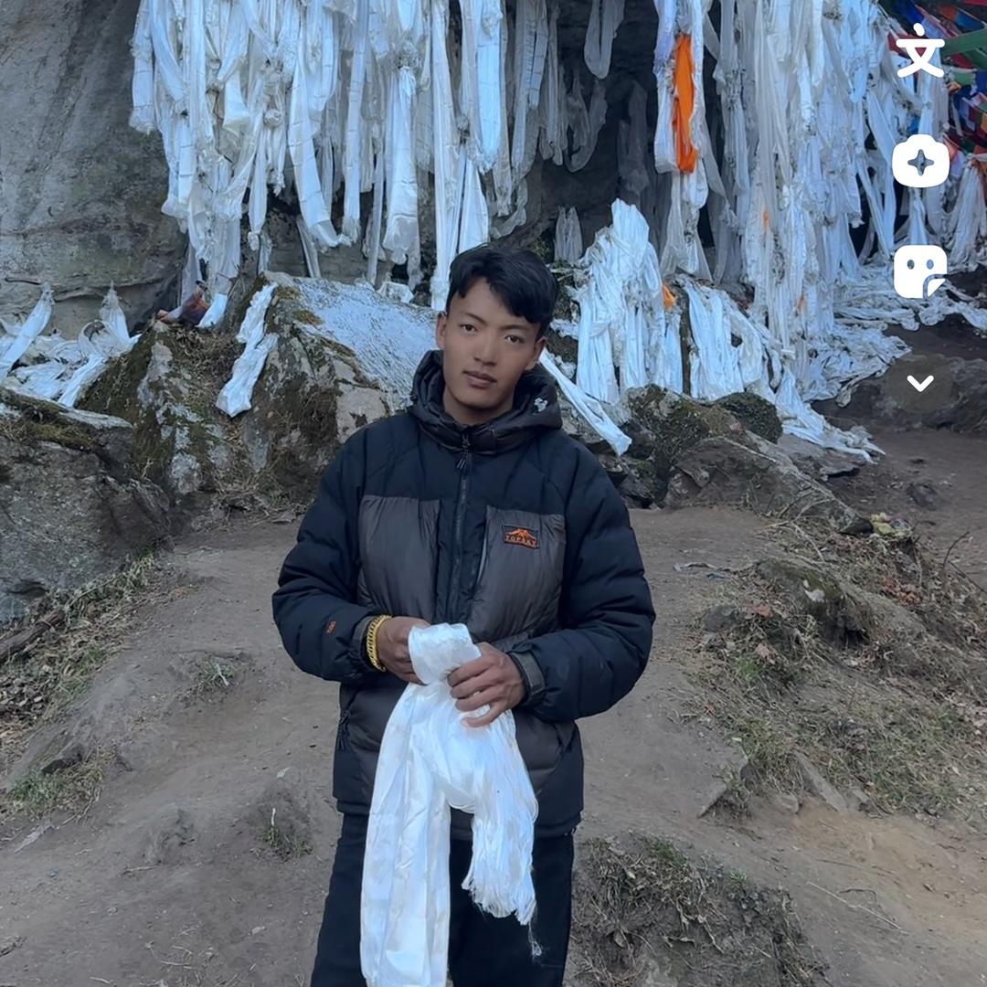 🕊️