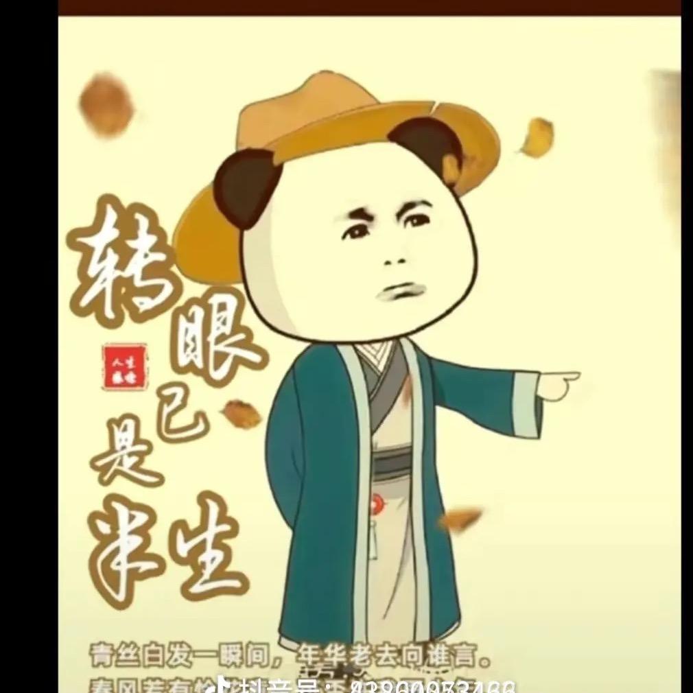 虾仁靠枕