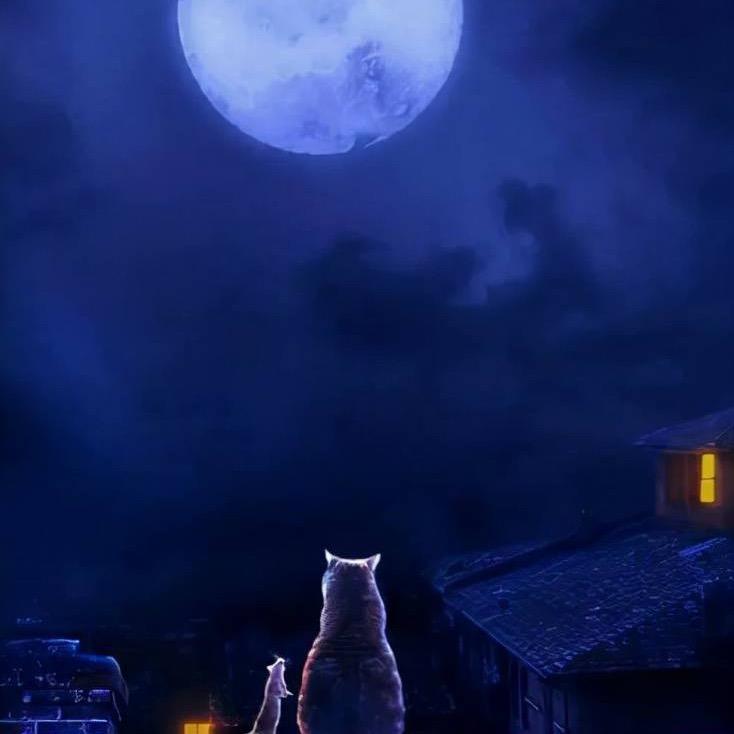 故事太长太悲伤