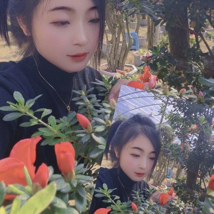 艳艳花卉种植园