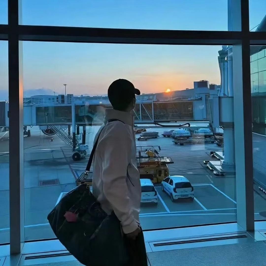 海鸥ㅤㅤㅤㅤㅤㅤ