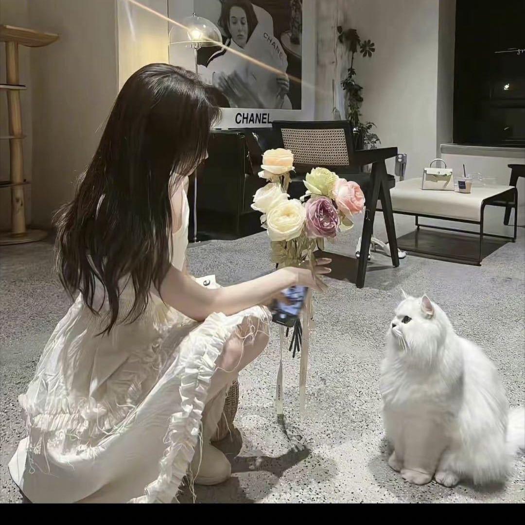 ☘️往事如烟🍂