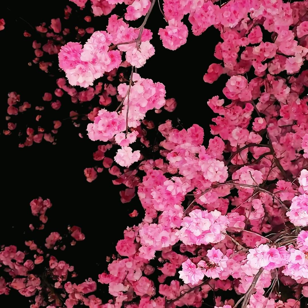 初见服饰（沙岗墟店）