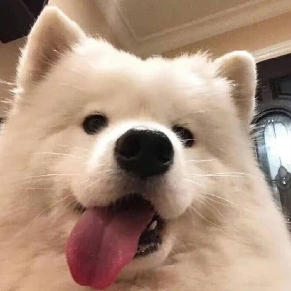 阿强
