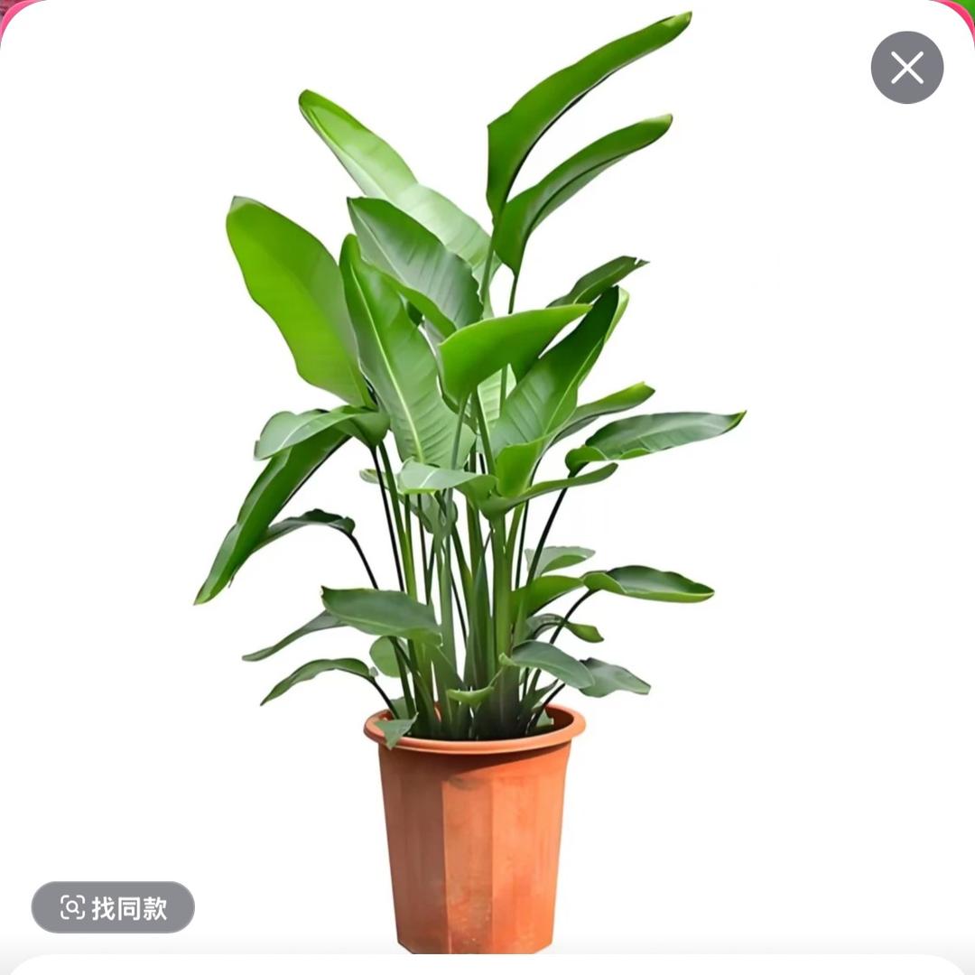 湾湾科技