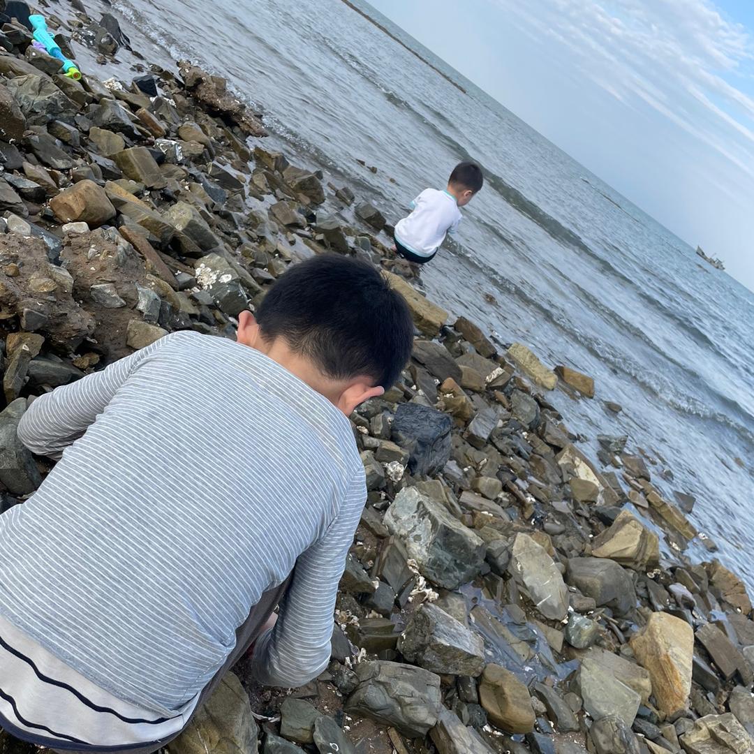 树哥