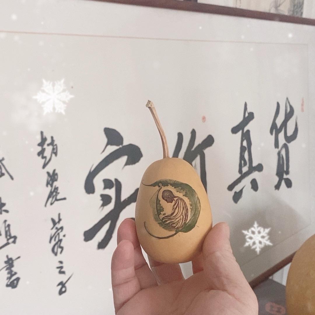 葫芦玩另类（2号店）