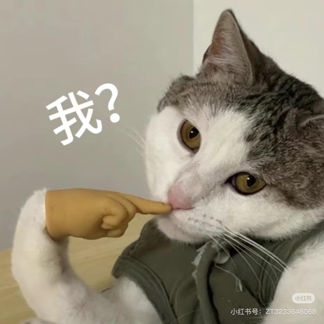 锅锅（助眠版）