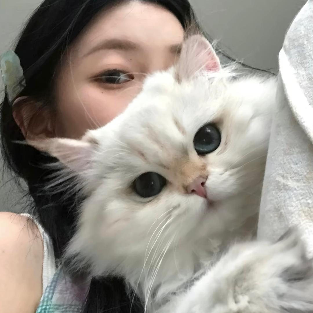 欣欣年货节