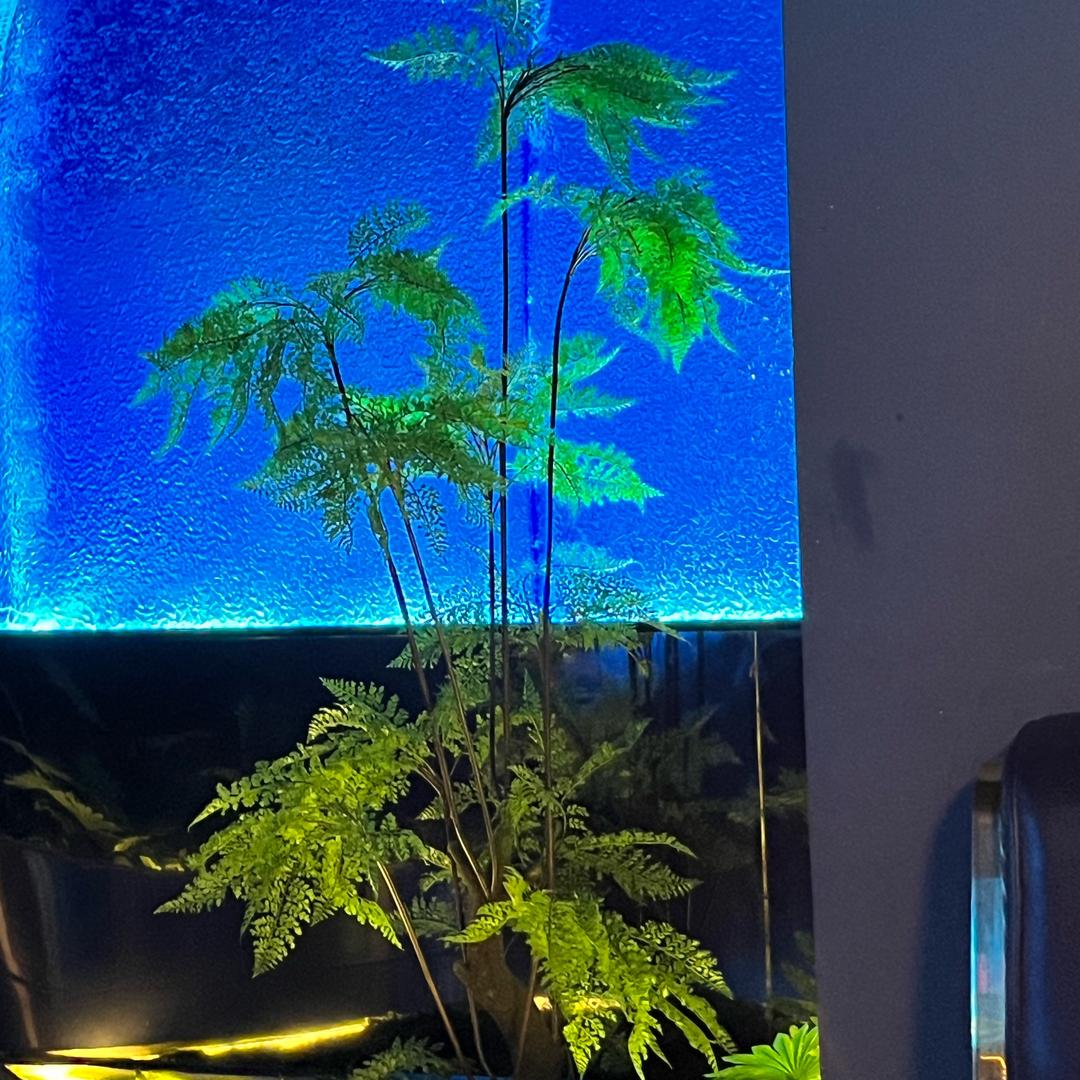 小酌怡情的温老板