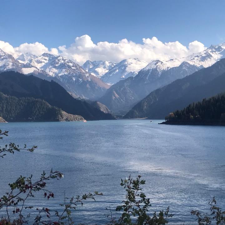 大雁
