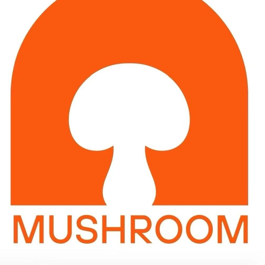 MushRoom总监 喜子🍄