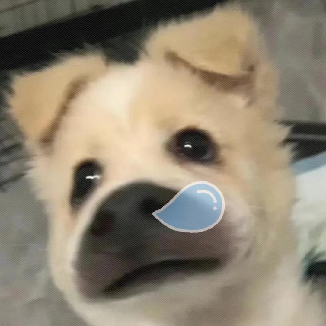 爱跌6️⃣辣子夹馍