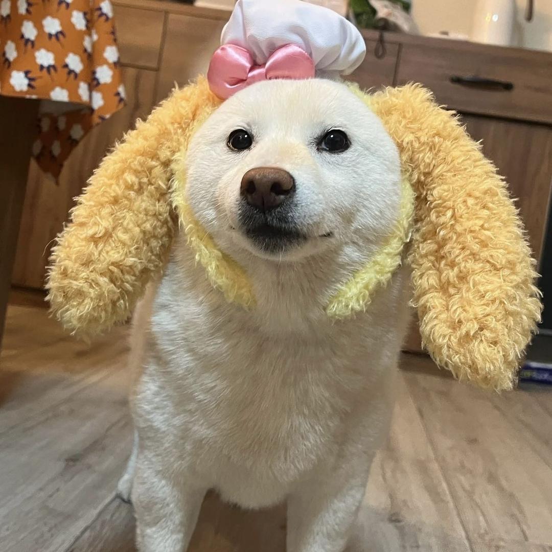 .