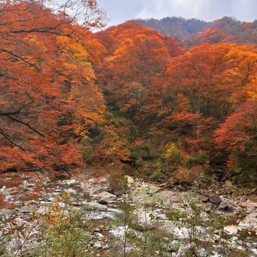 怎么开心、就怎么来