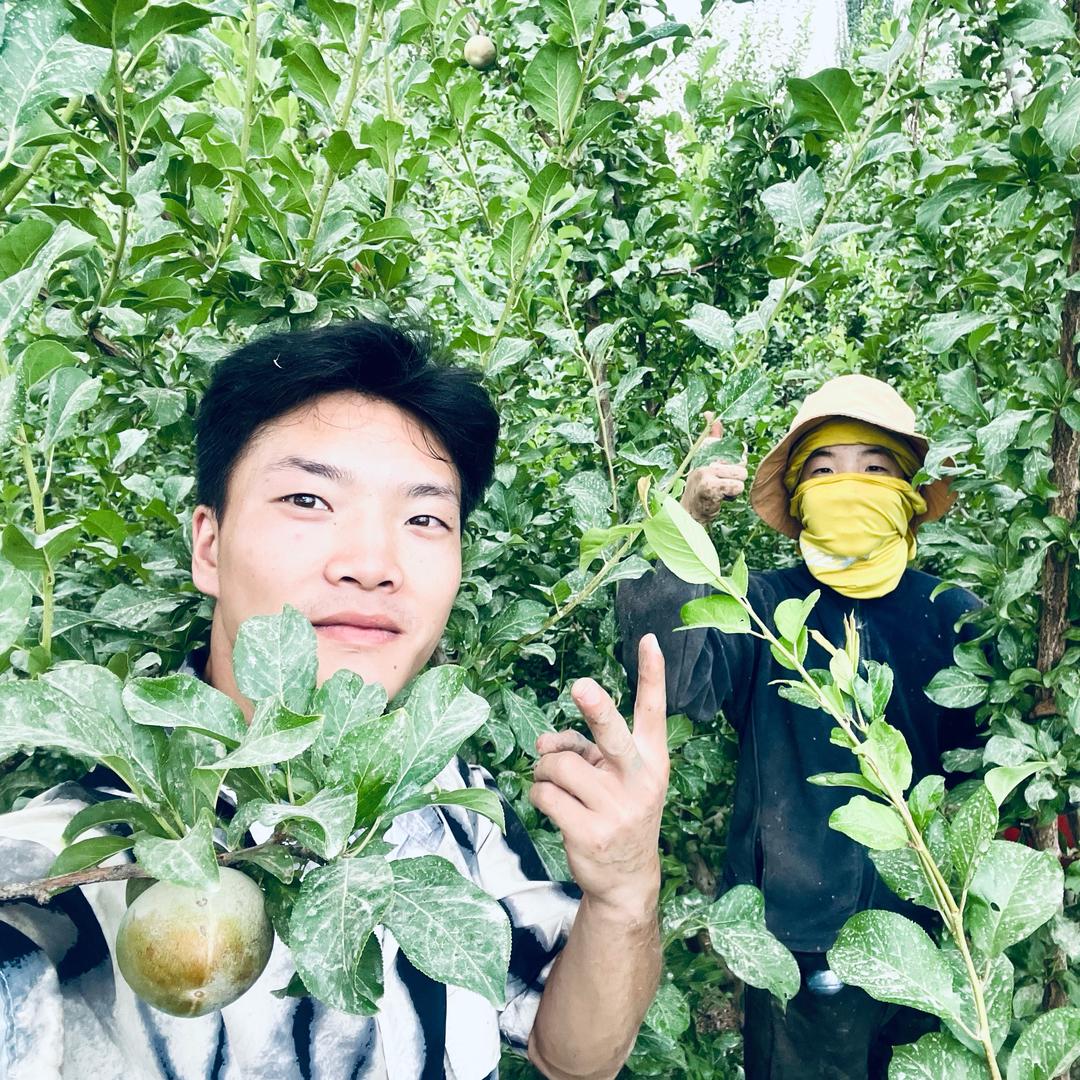 新疆生鲜果蔬兄弟