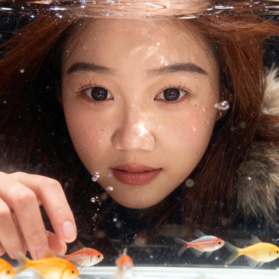 扬扬