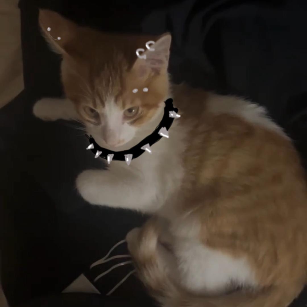 miduo