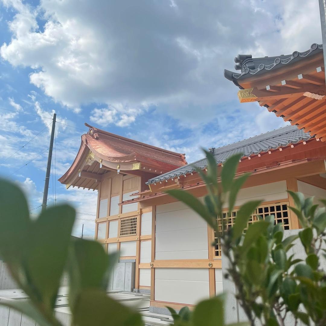 绪爸
