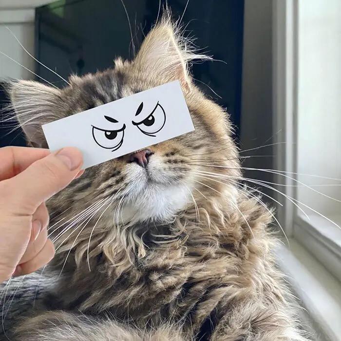 大头测评