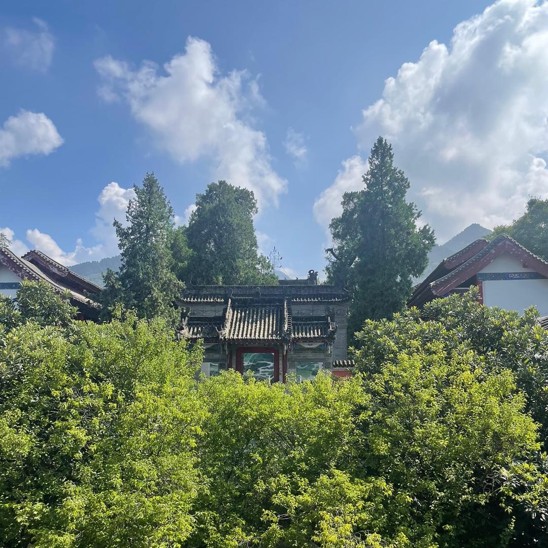 鹤舞鸣翔