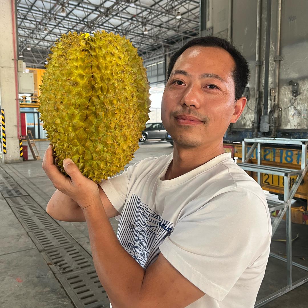 曹哥甄选～精品榴莲 菠萝蜜