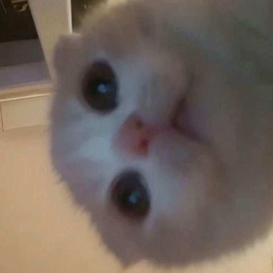 Haku_nini