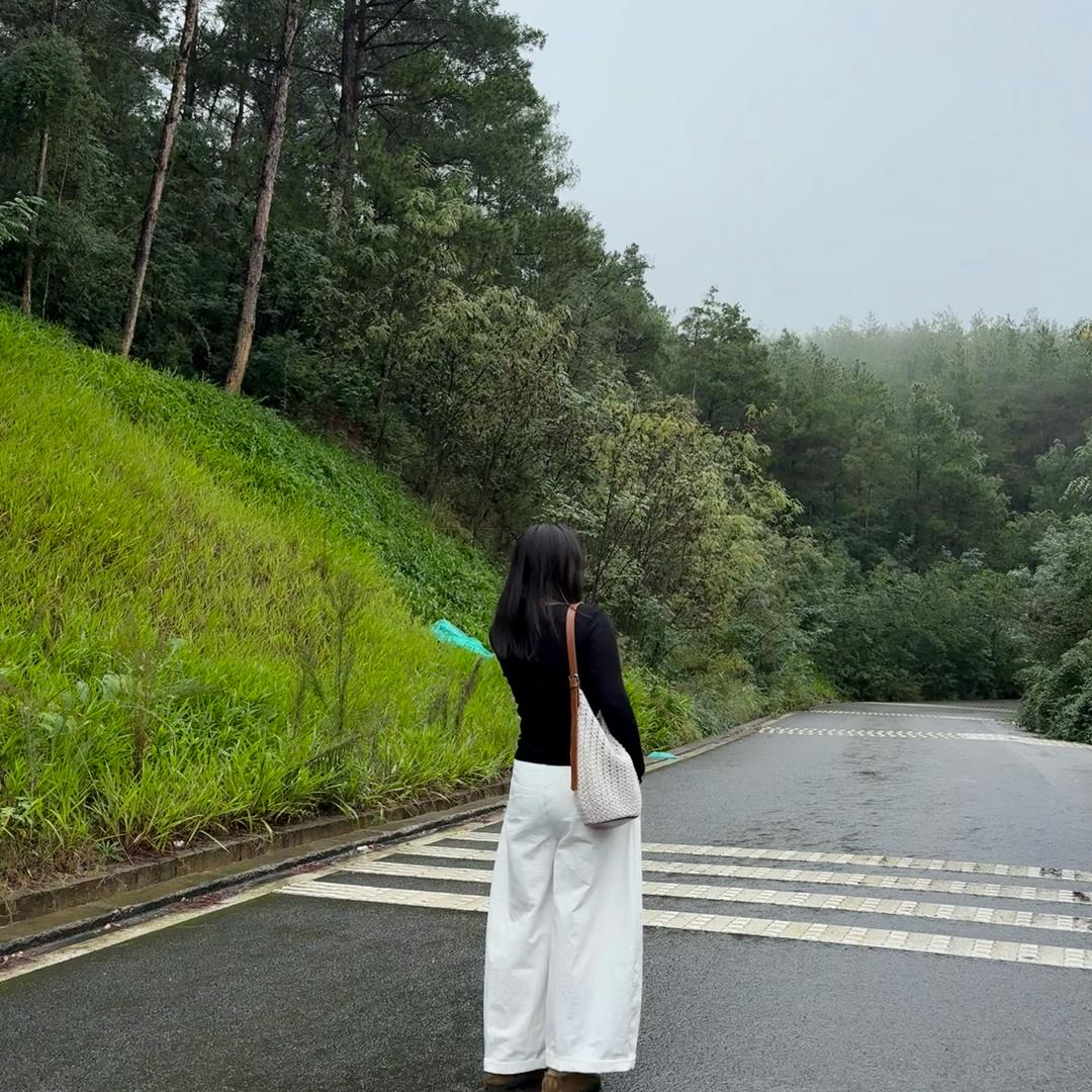 向阳而生