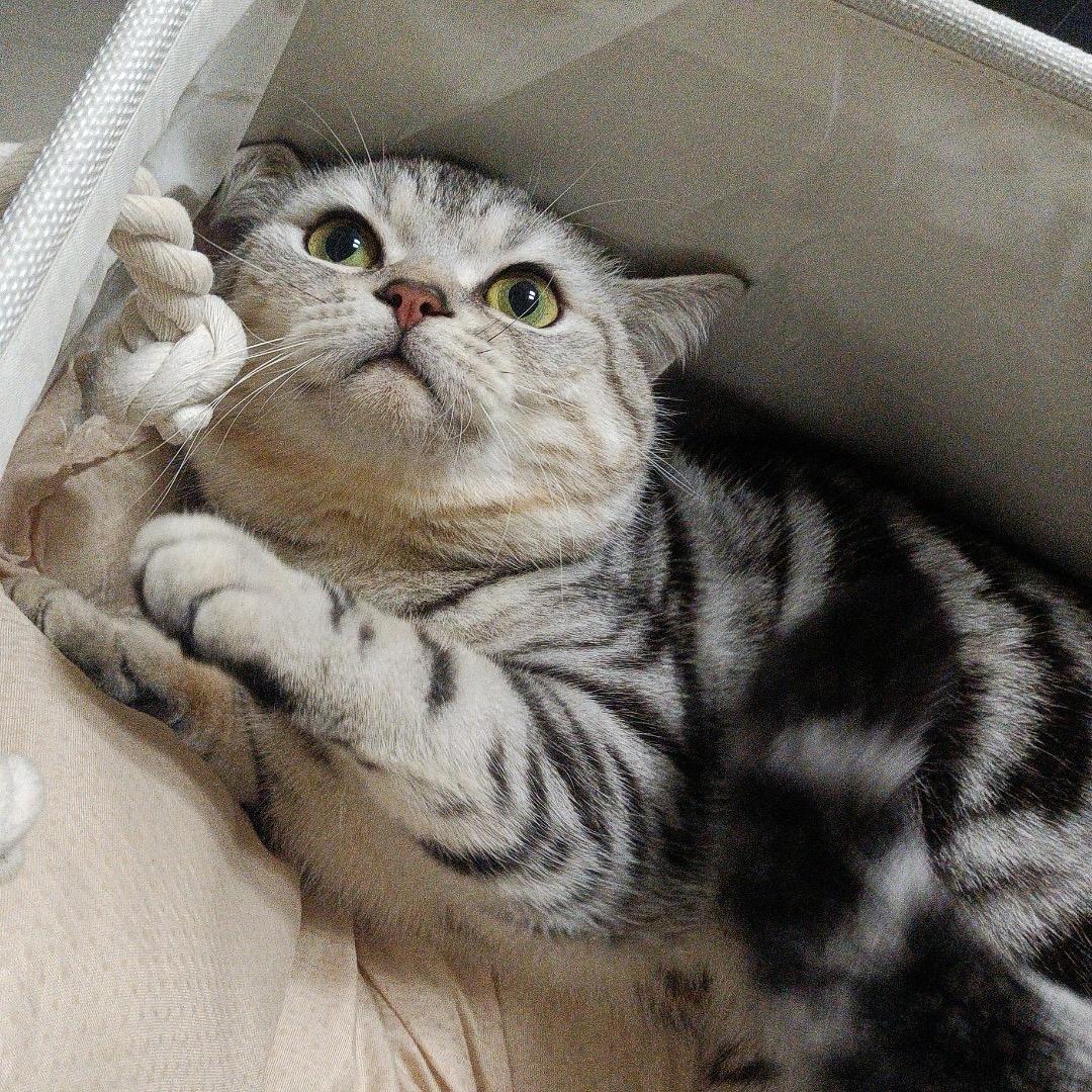 哦豁宝的朋友圈