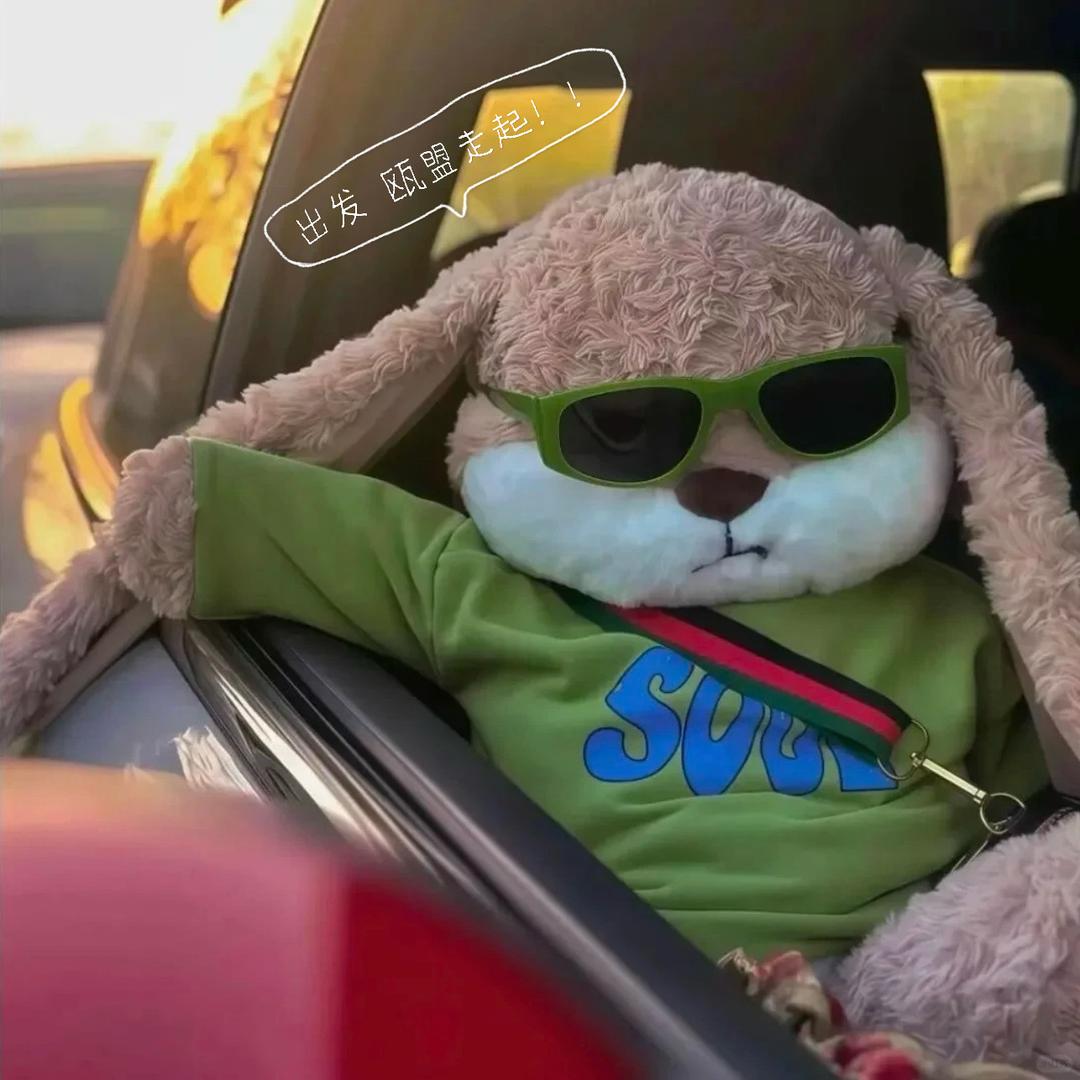 爱戴眼镜的小羊🐑