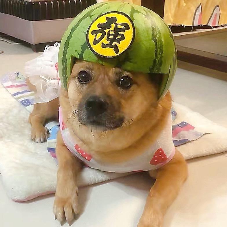 高大强是姑娘