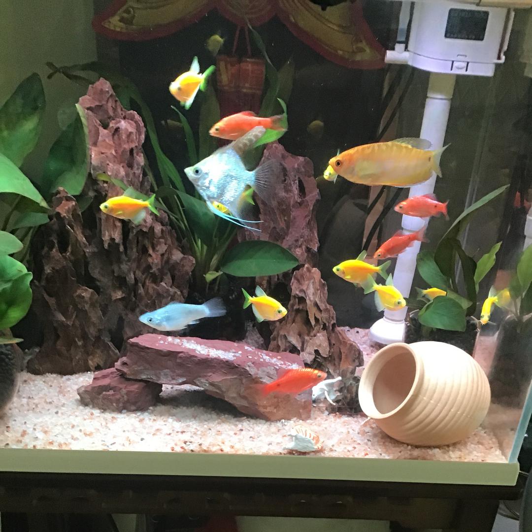 海水养殖