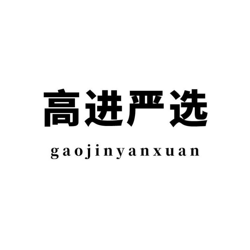 高进严选2